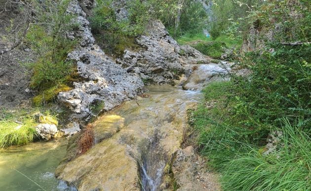 El paraje por el que caminamos es de un gran valor medioambiental.