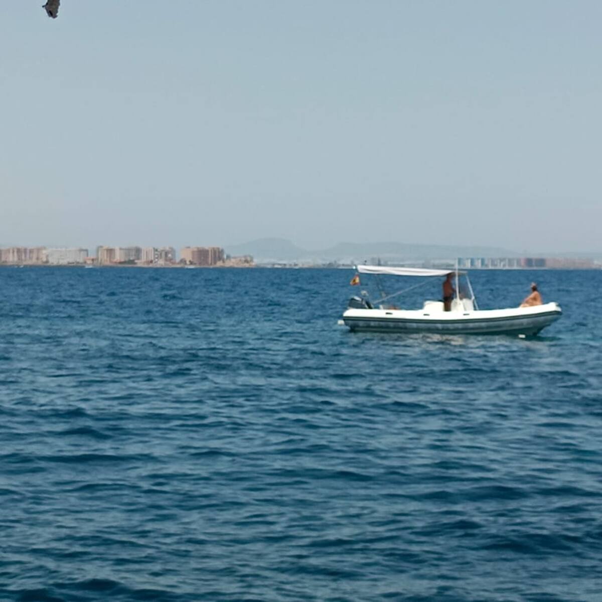 Isla Grosa, sin vigilancia desde enero: denuncian abandono ambiental y riesgo para buceadores