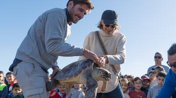 Dos tortugas recuperadas en el Oceanogràfic regresan al mar en València para celebrar el Día Internacional de la Educación