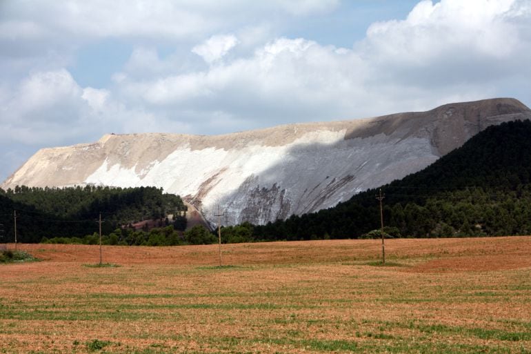 Detall del runam salí de Sallent, al Bages