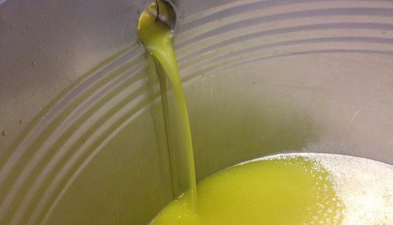 L'oli del raig, a la finca de La Boella.