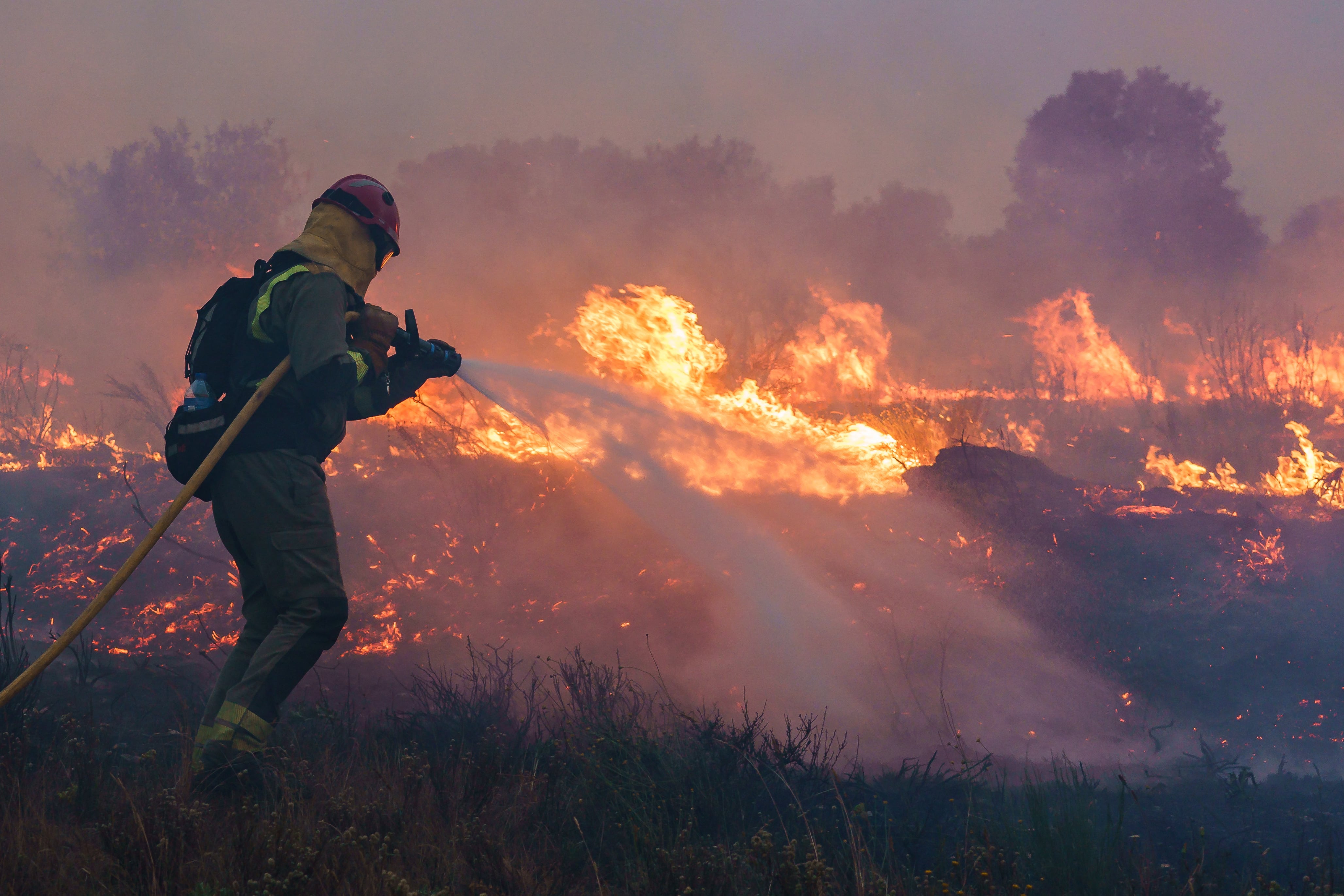 Un bombero intenta sofocar el incendio en la zamorana Sierra de la Culebra.