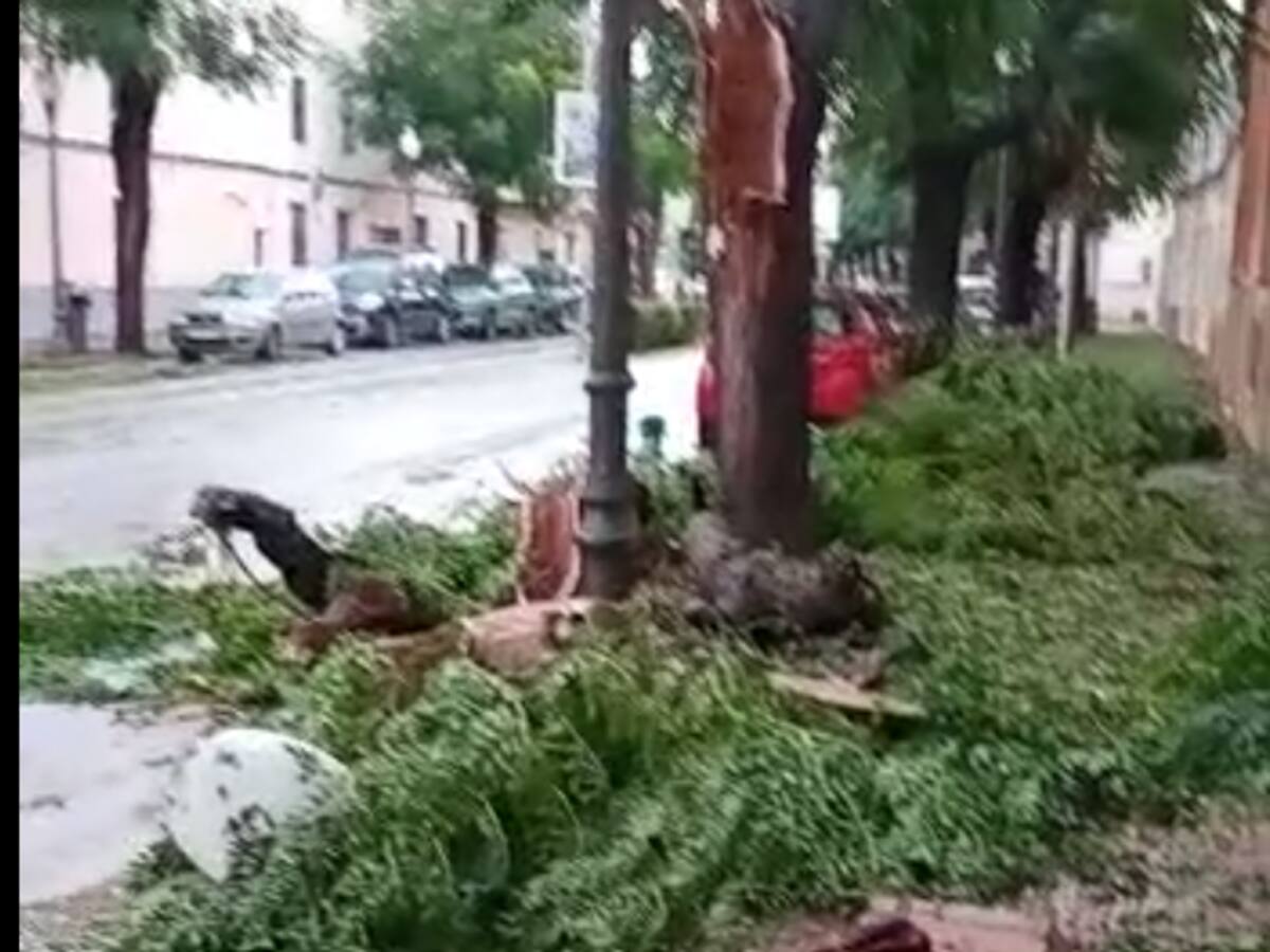La tempesta deixa inundacions i arbres caiguts a tota Menorca