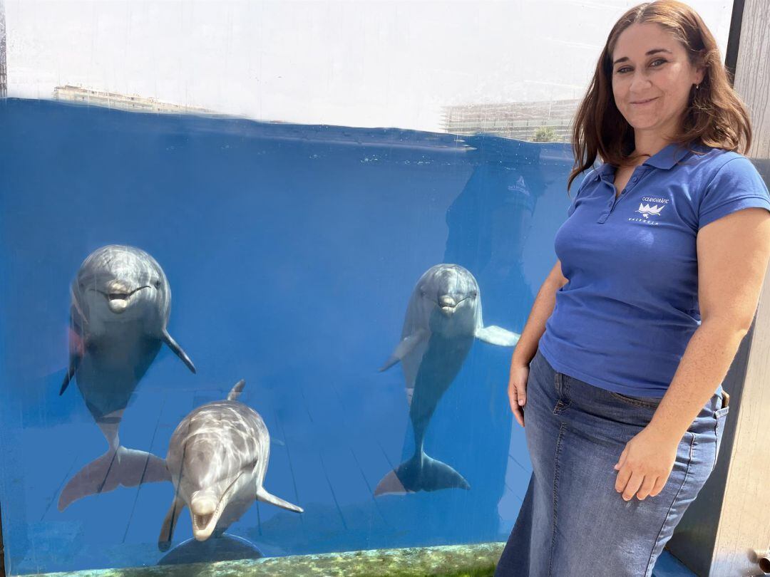 Delfines del Oceanogràfic de València