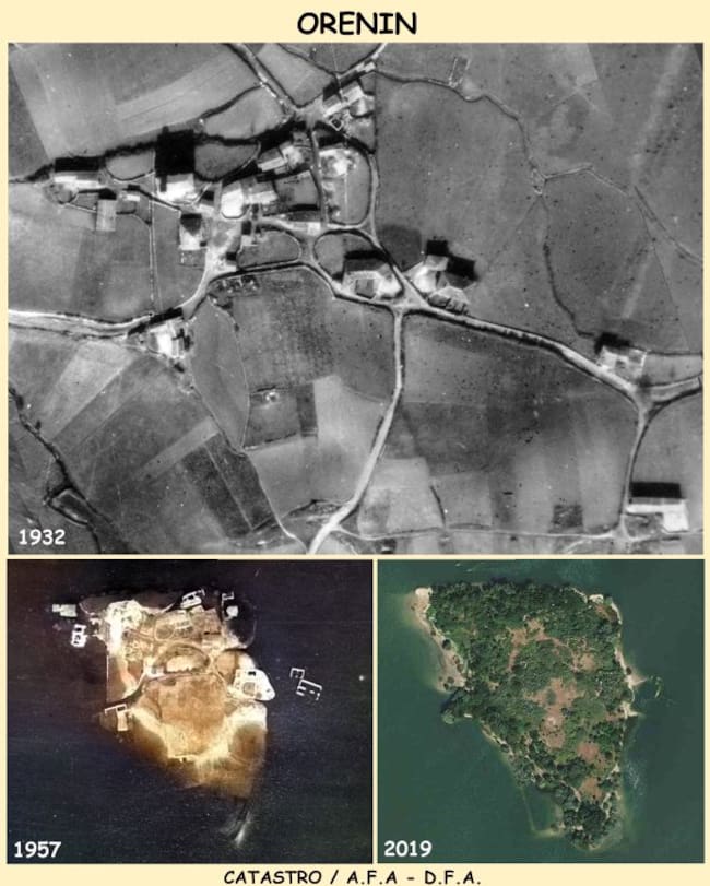 Evolución de Orenin