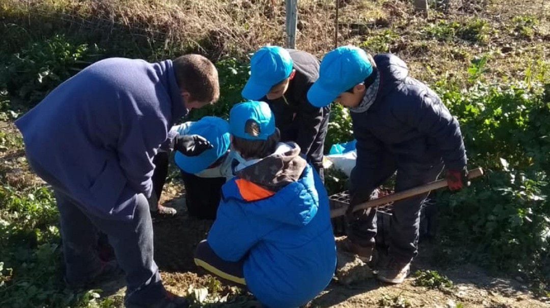 Niños en la reforestación