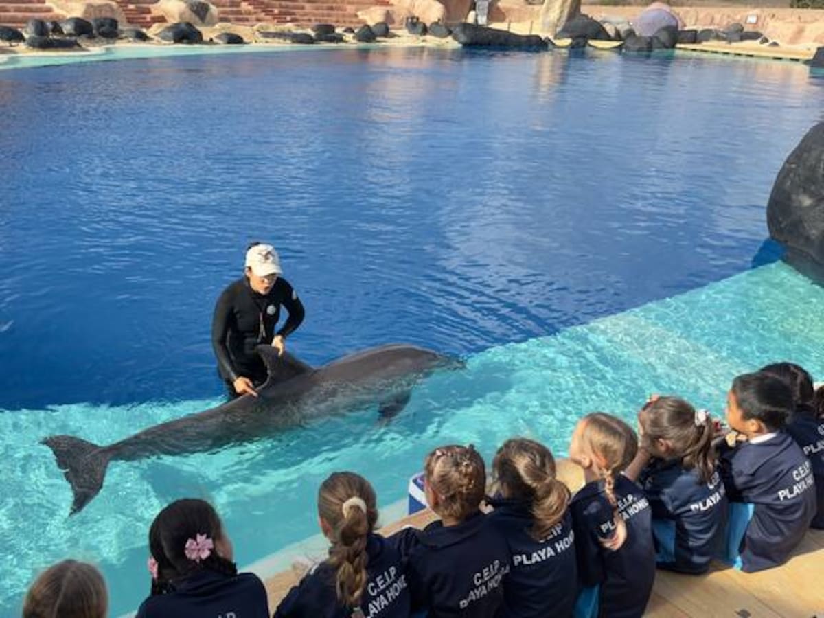 El mar llega a las escuelas de Euskadi para inspirar al alumnado