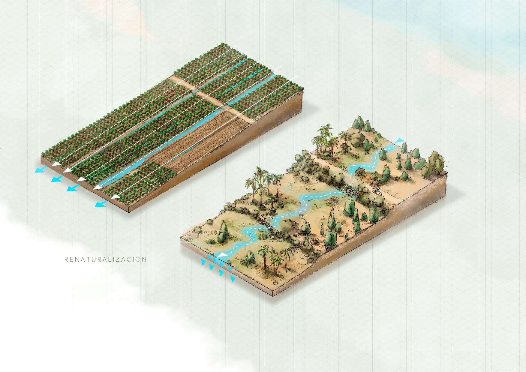 Proyecto de renaturalización del Miteco en el Mar Menor