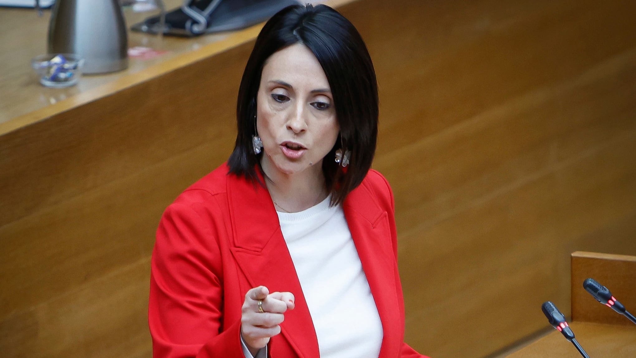 Rebeca Torró síndica del PSPV en les Corts