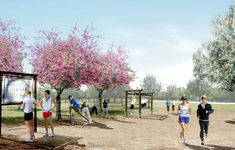 El gobierno municipal de Mairena del aljarafe espera aprobar este mes la realización del parque central.