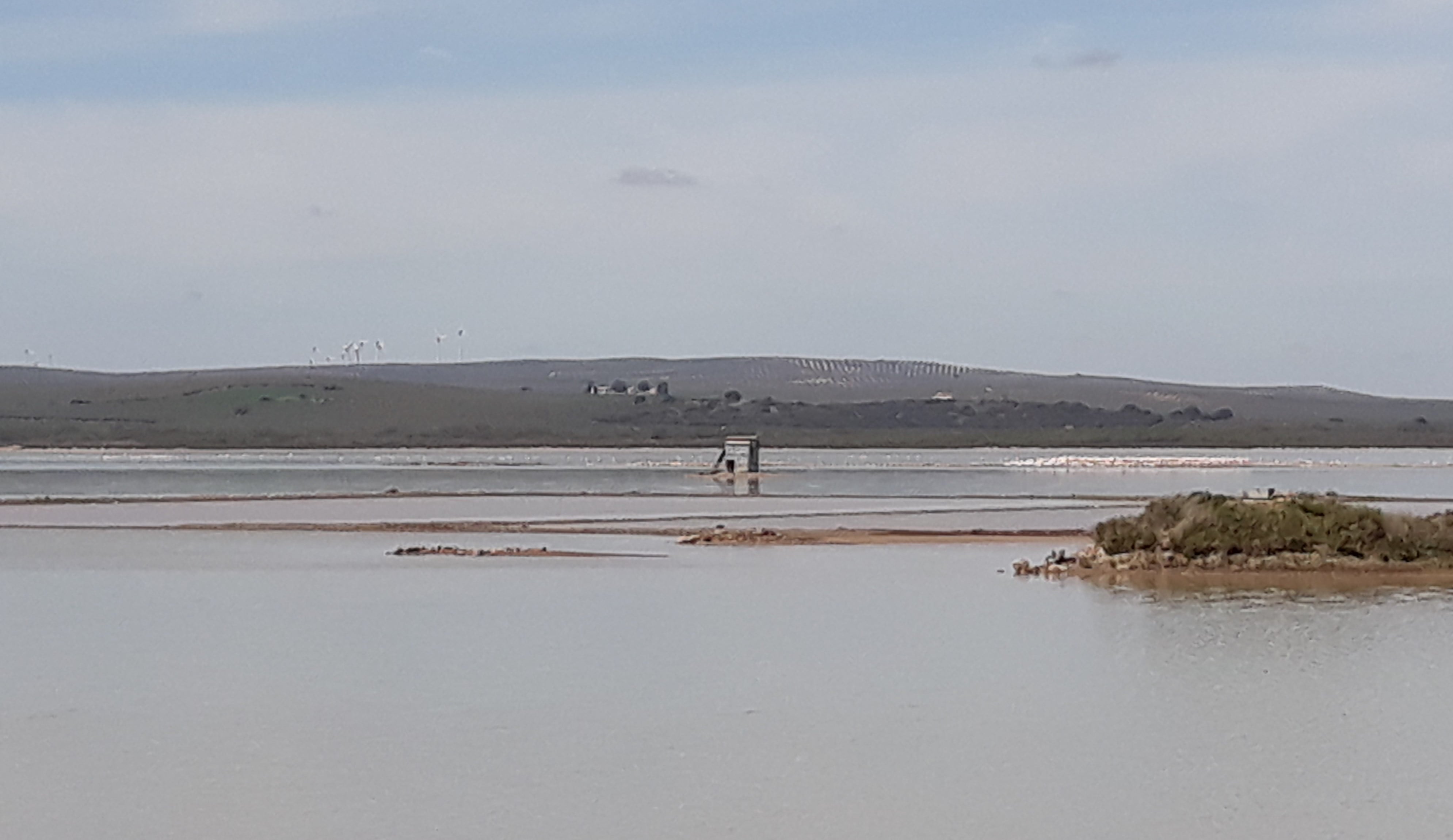 Laguna Fuente de Piedra (Málaga)