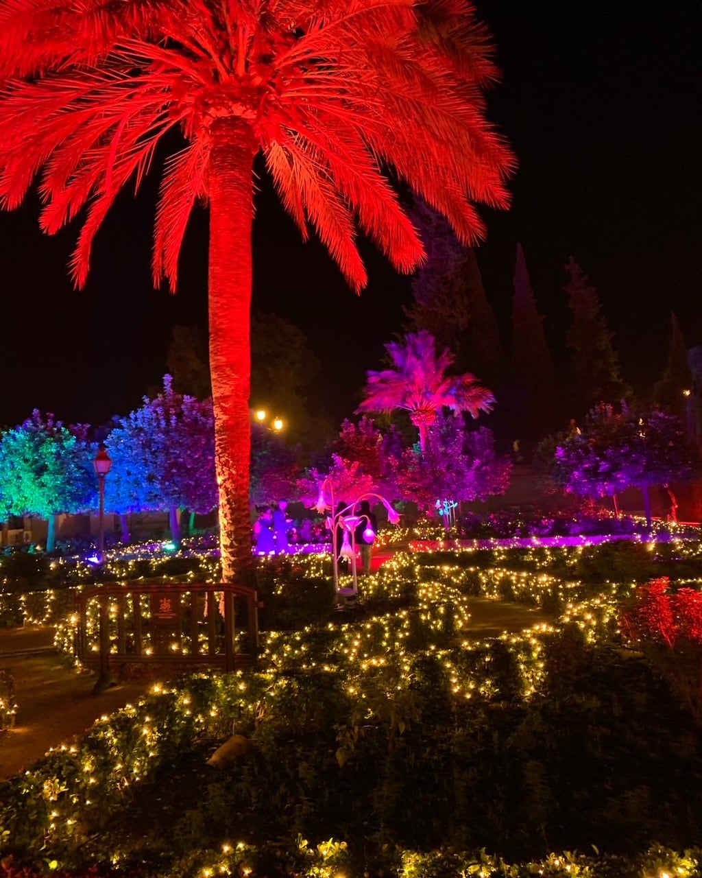 Espectáculo nocturno del Alcázar