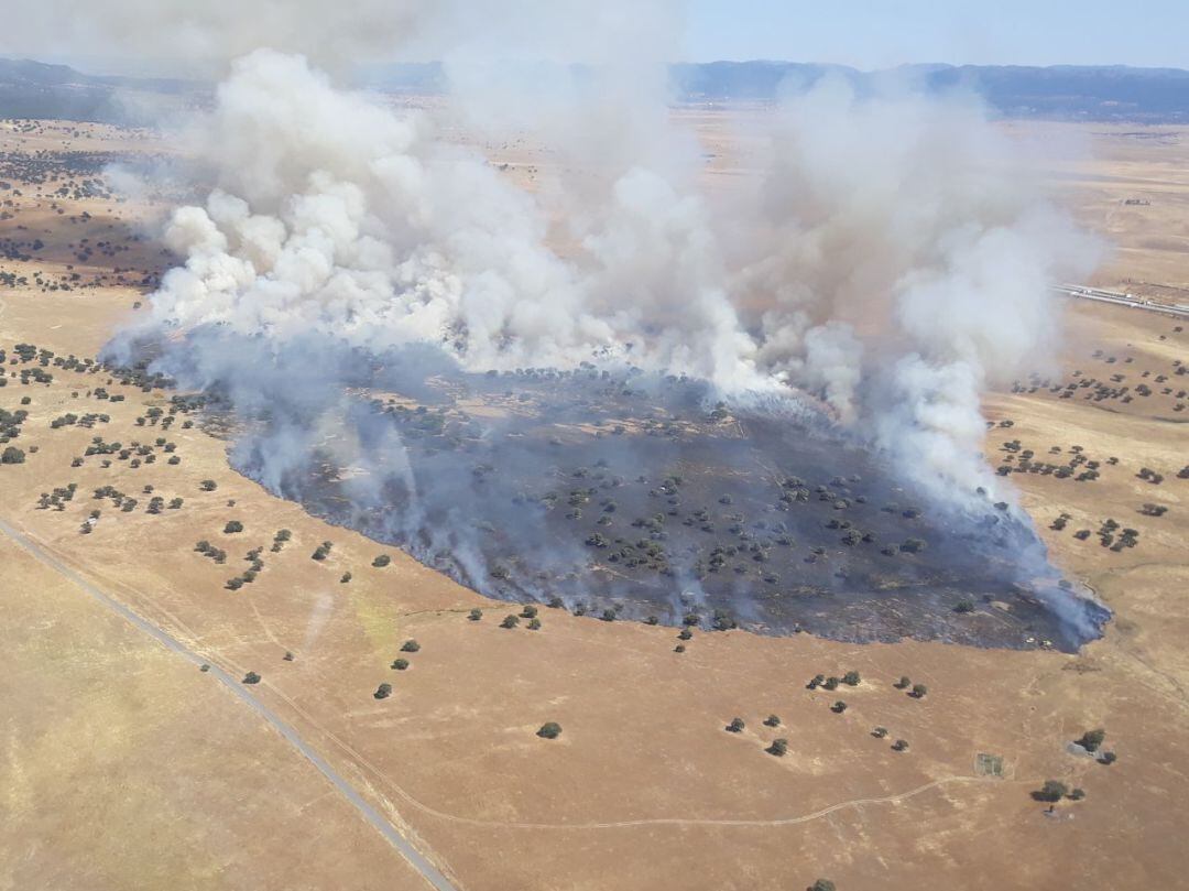 Imagen del incendio registrado este domingo en Almódovar del Campo