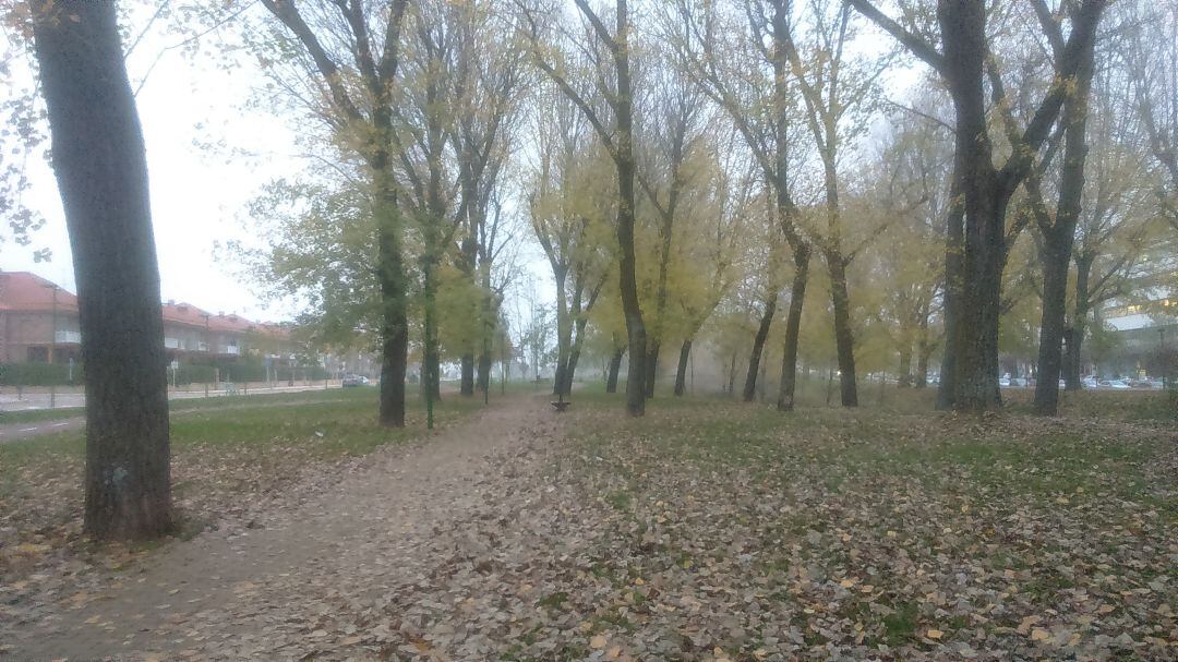 Parque Lineal del Vena