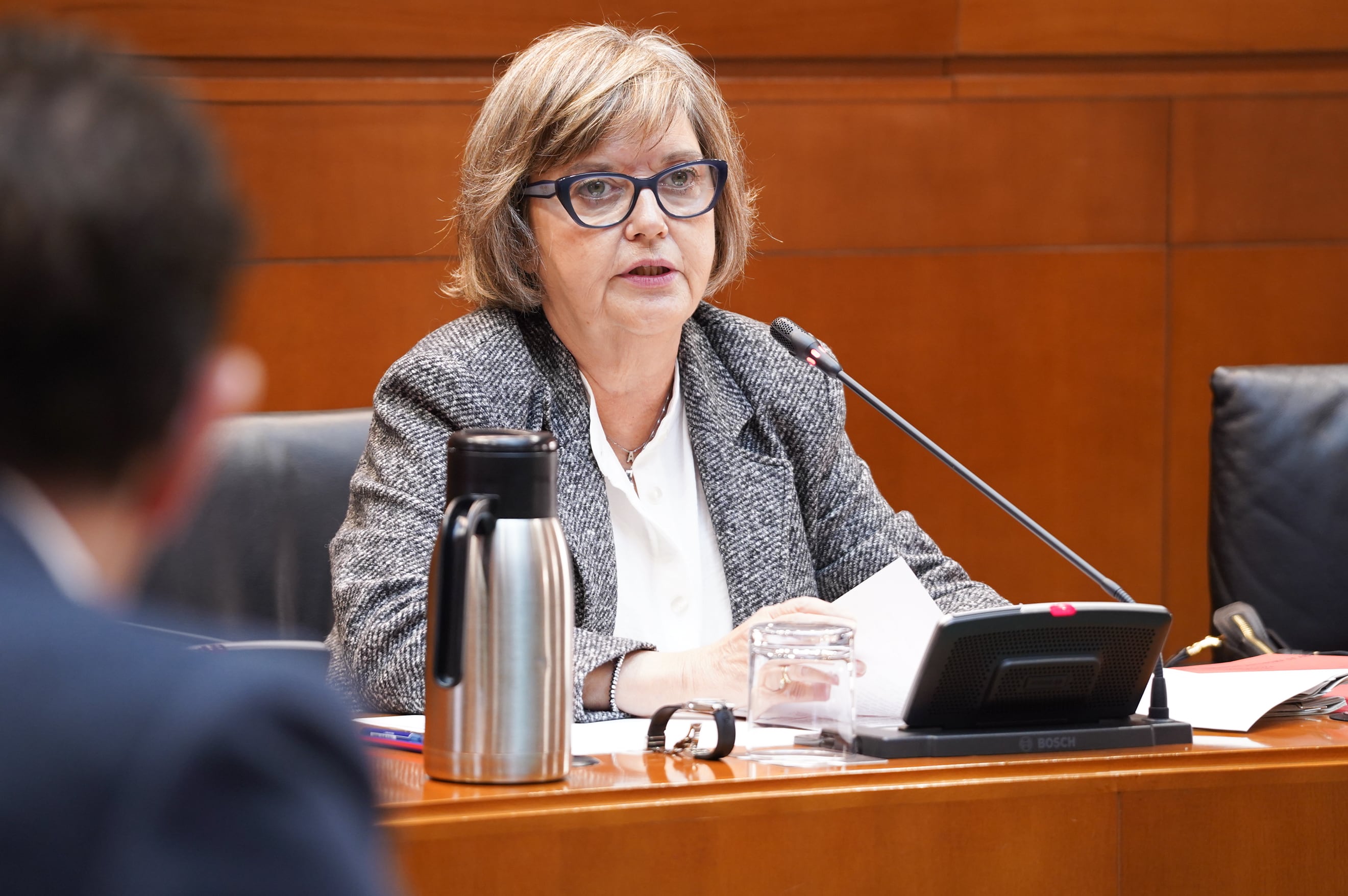 La fiscal superior de Aragón, Asunción Losada, esta mañana en las Cortes