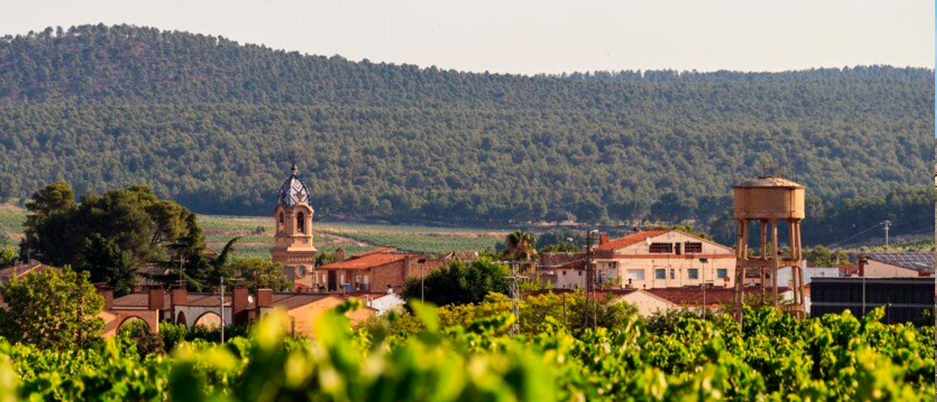 Fontanars dels Alforins