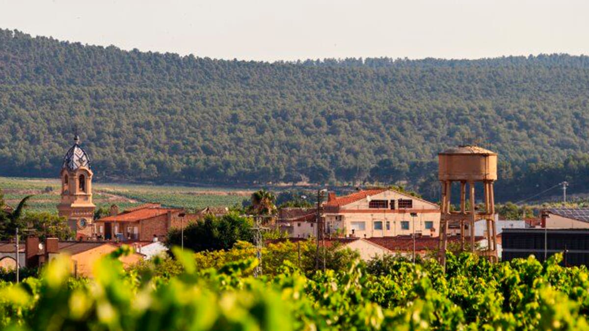 Musica, moda y solidaridad en Fontanars dels Alforins