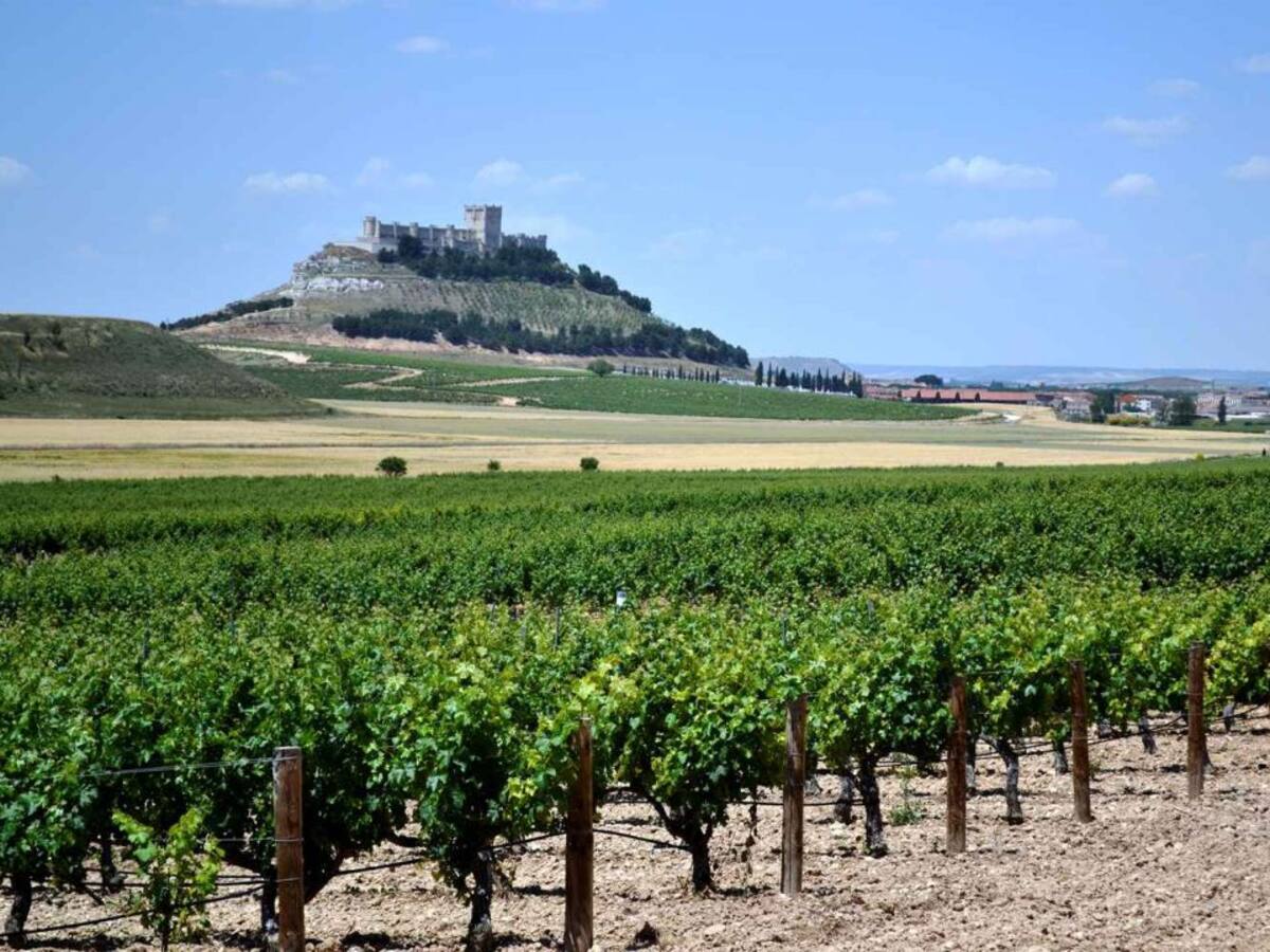 De Ruta con la Ruta (03/06): La Ribera se prepara para acoger turismo