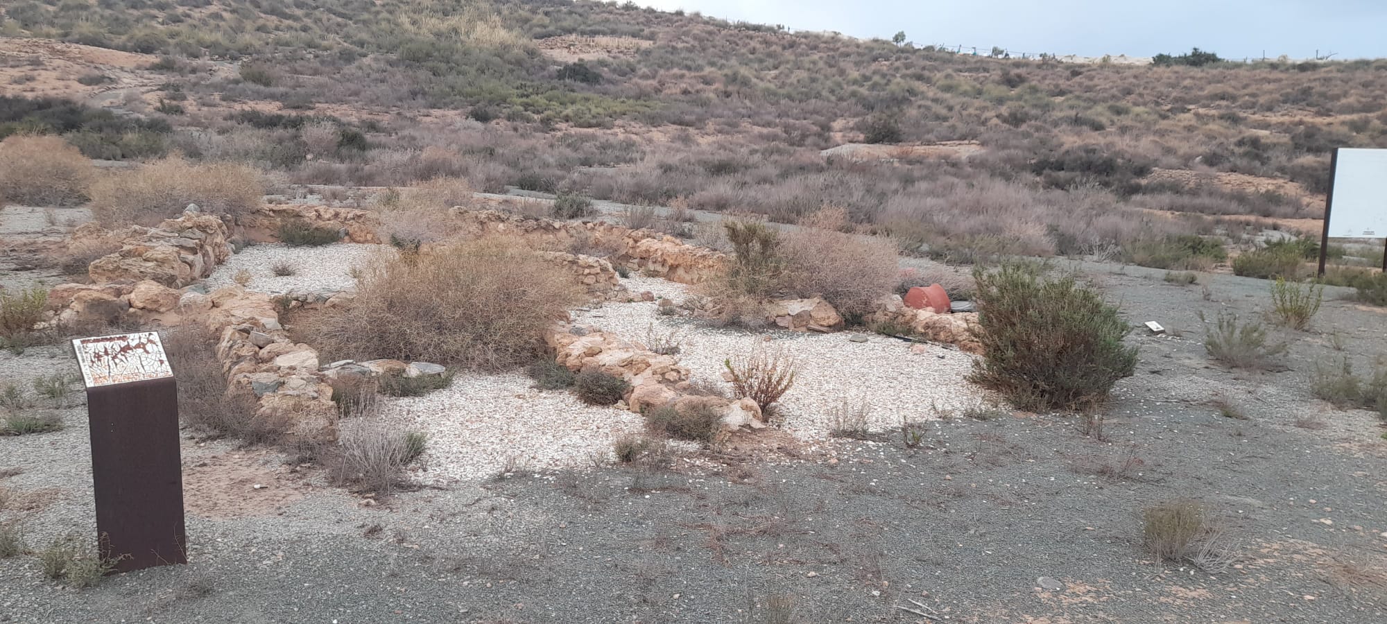 El PSOE de Lorca pide que se revierta la situación de abandono en la que se encuentra el yacimiento arqueológico de Almendricos