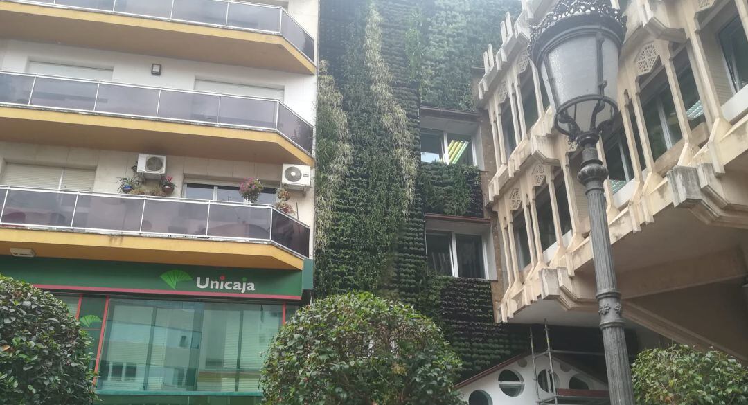 Imagen del jardín vertical que se ha colocado en la fachada del Ayuntamiento