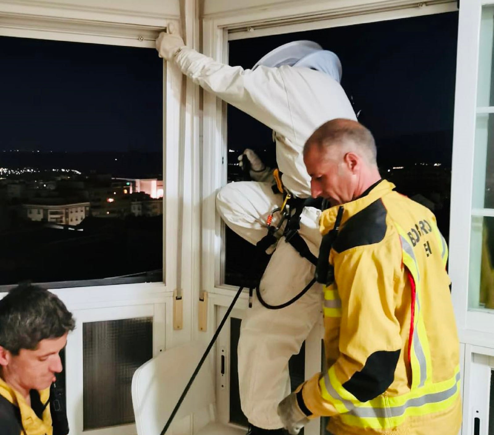 Un equipo de bomberos junto a un apicultor retiran un nido de avispa asiática en Jaén capital