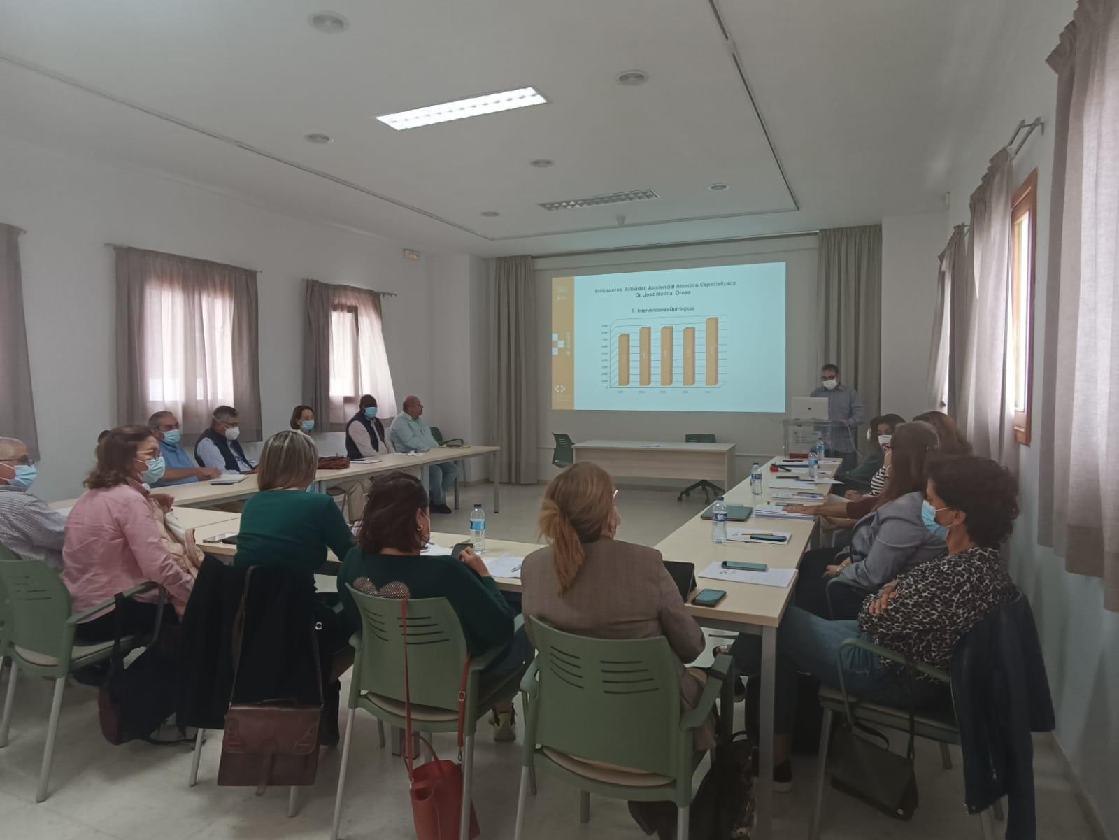 Un momento del Consejo de Salud de Lanzarote.