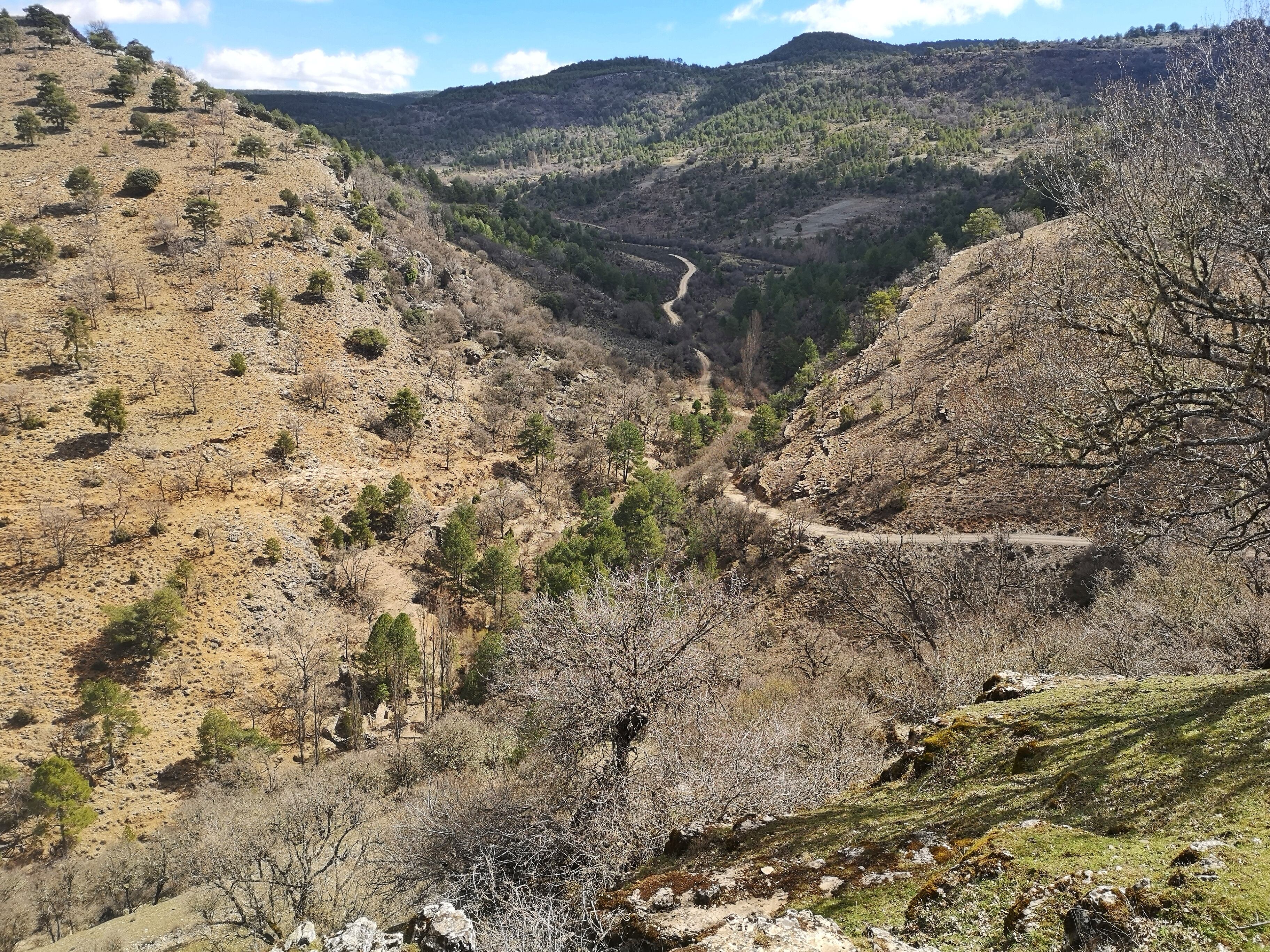 Camino hacia la peña del Castellar.