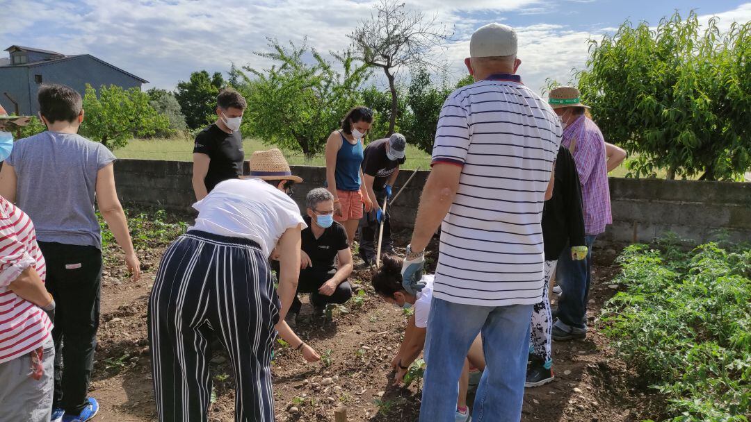 Alumnos del curso hortícola