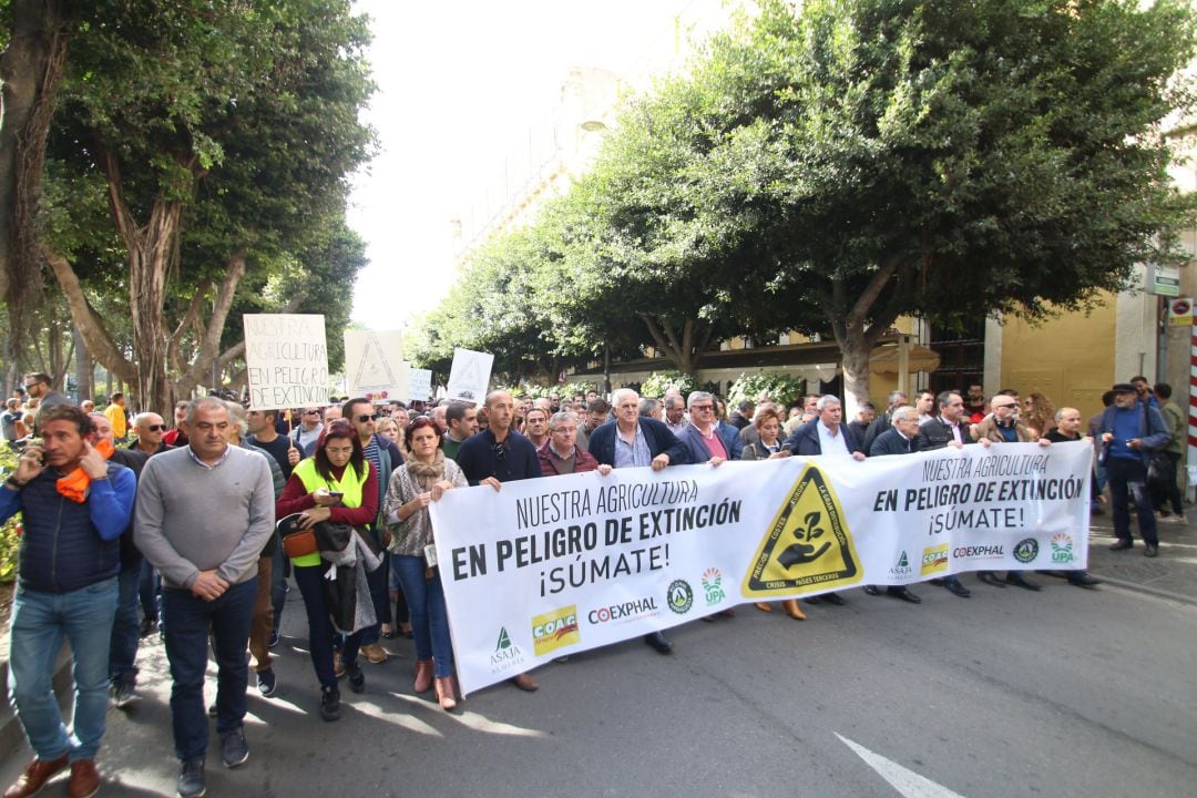 Manifestación del sector agrario en Almería a 19 de noviembre del 2019 19 noviembre 2019