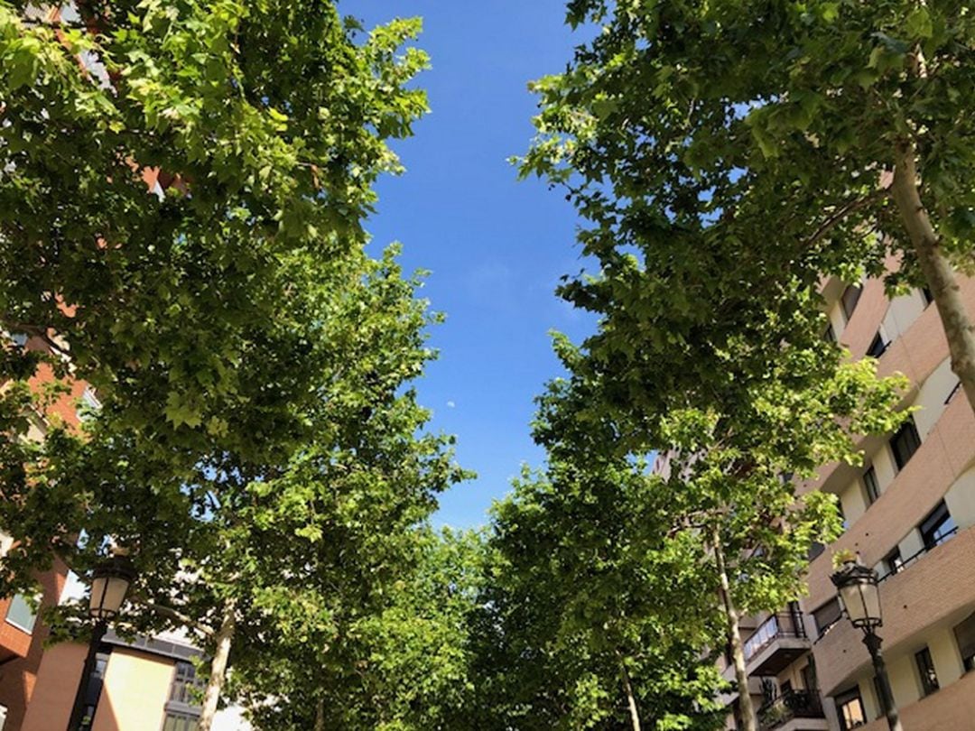 Cielo despejado en la ciudad de Gandia 