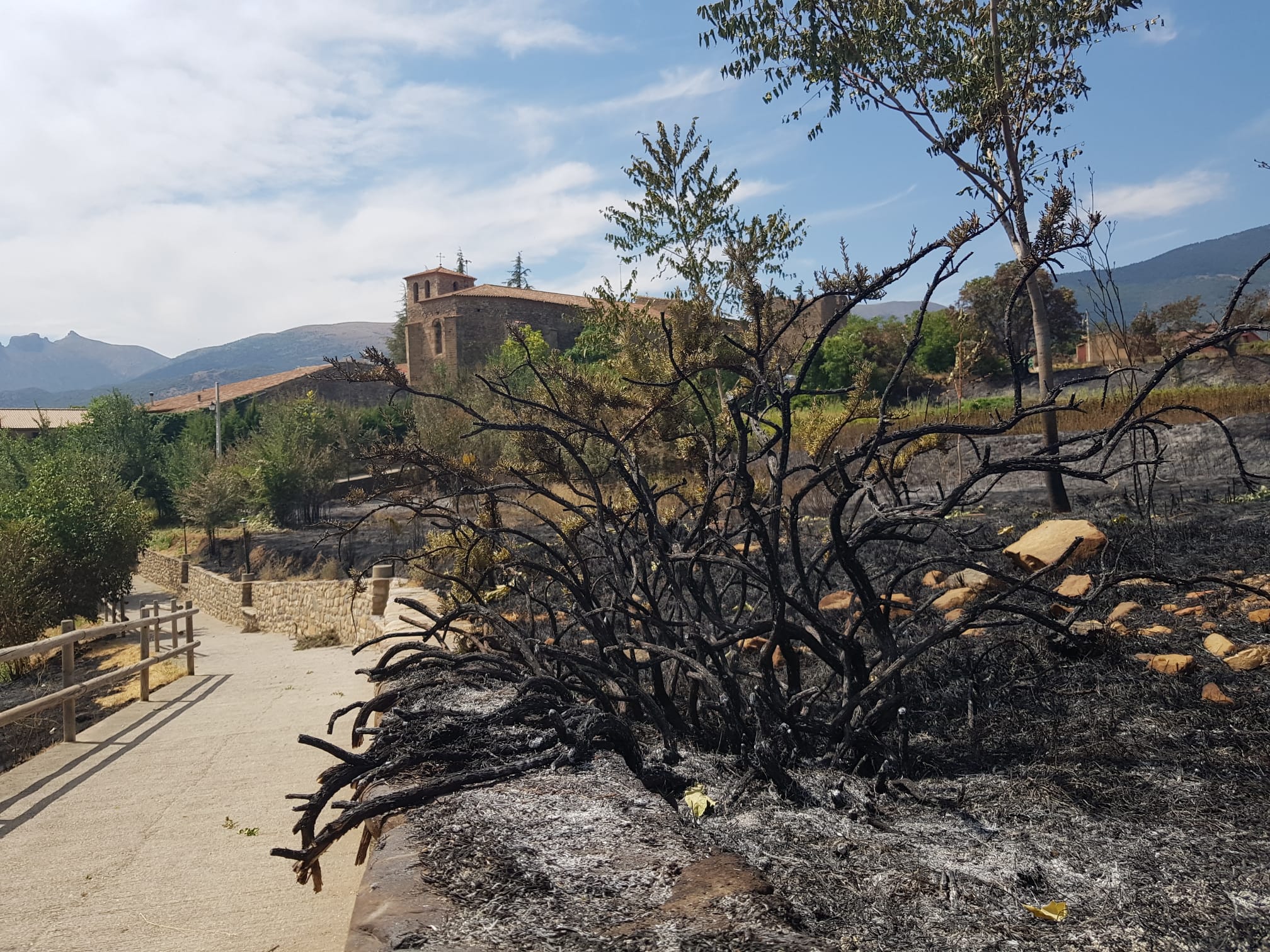 Paisaje gris y cenizas en Añón de Moncayo tras el incendio