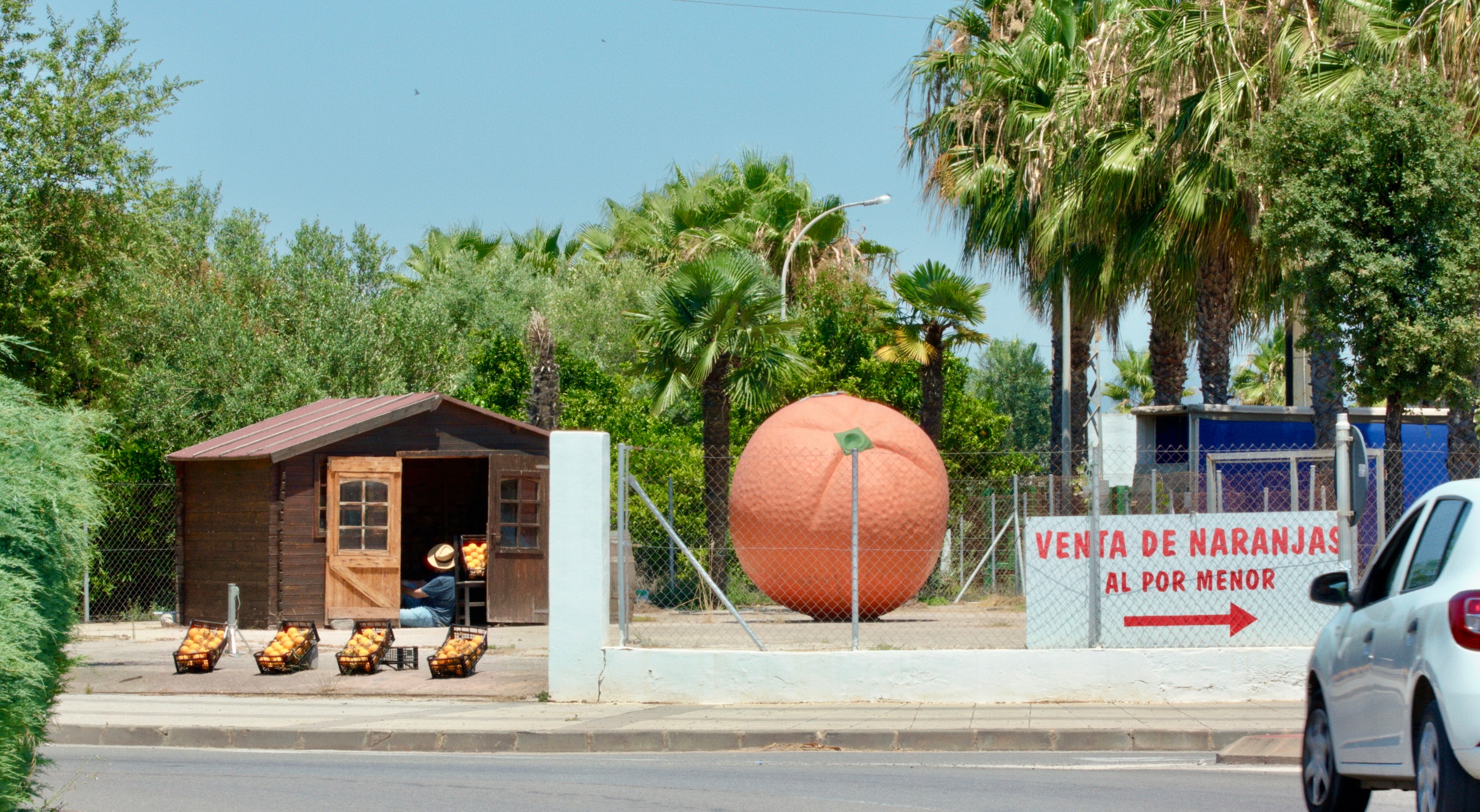 Fotograma de Domingo Domingo