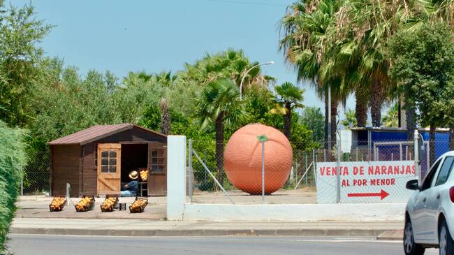 Fotograma de Domingo Domingo
