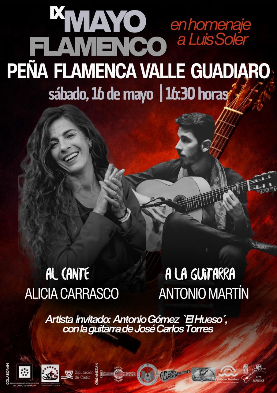 Mayo Flamenco.