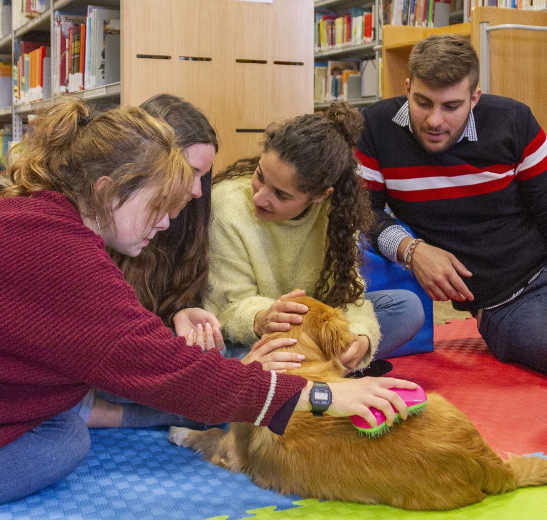 Estudiantes de la UGR en plena terapia con un perro