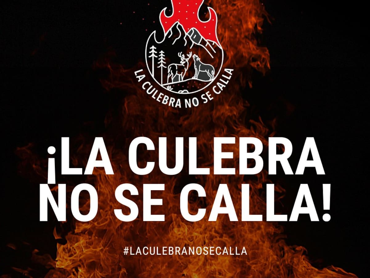 Reunión entre "La Culebra no se Calla" y el director general de turismo de la Junta se