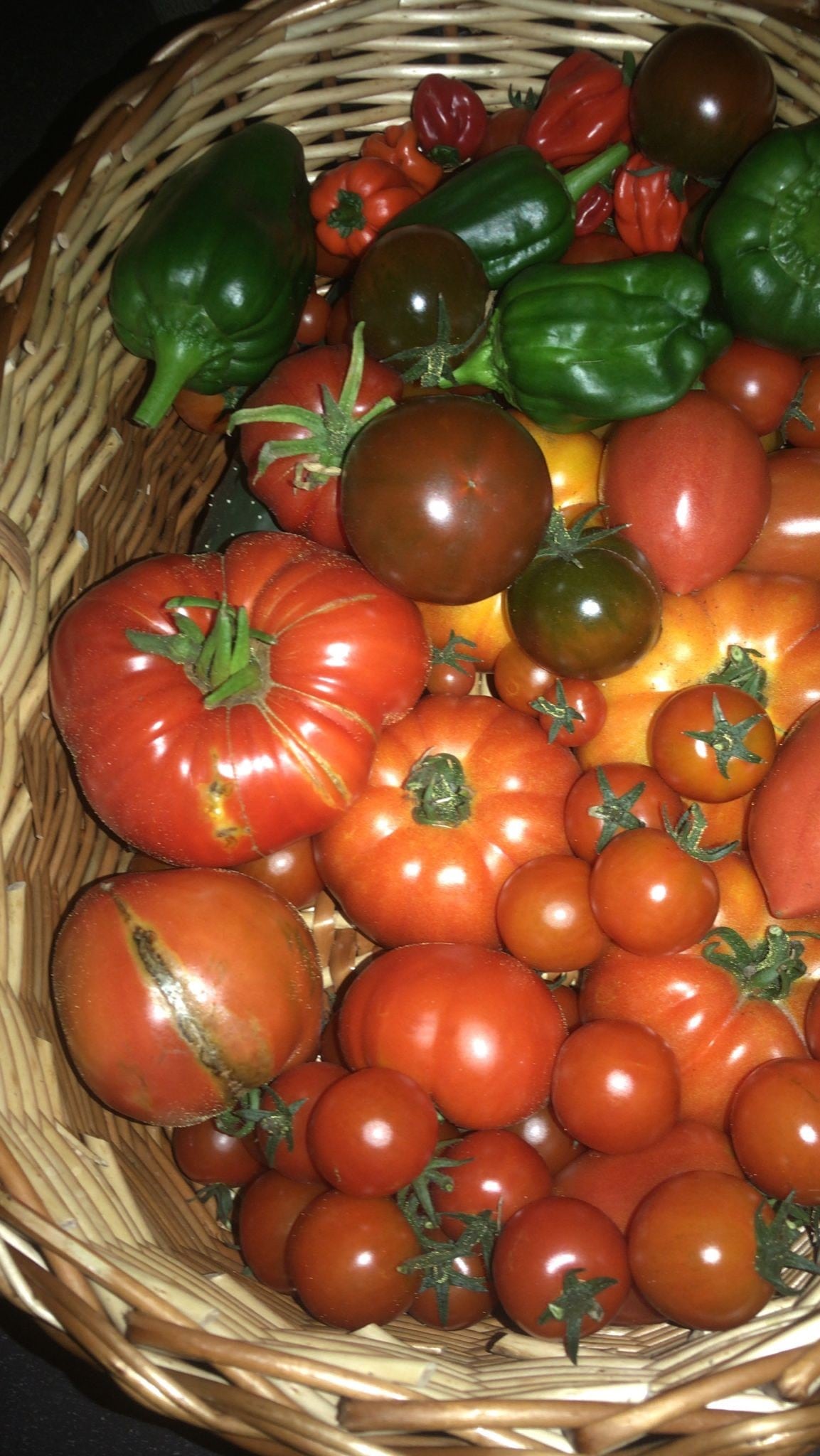 Tomates y pimientos de cosecha propia