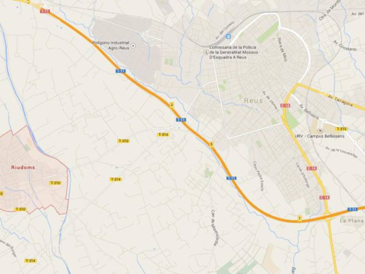 Llibertat amb càrrecs