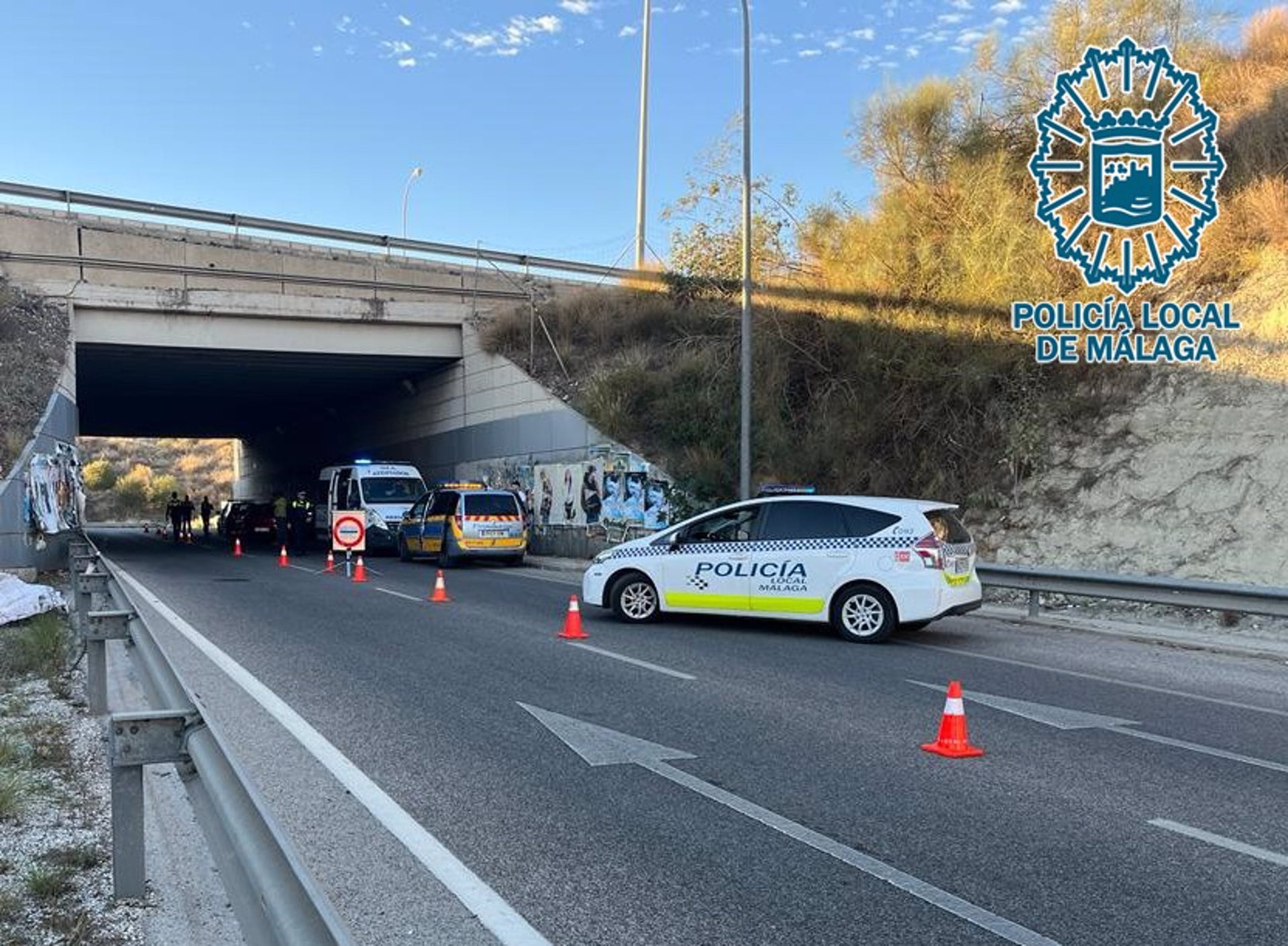 Control de la Policía Local de Málaga