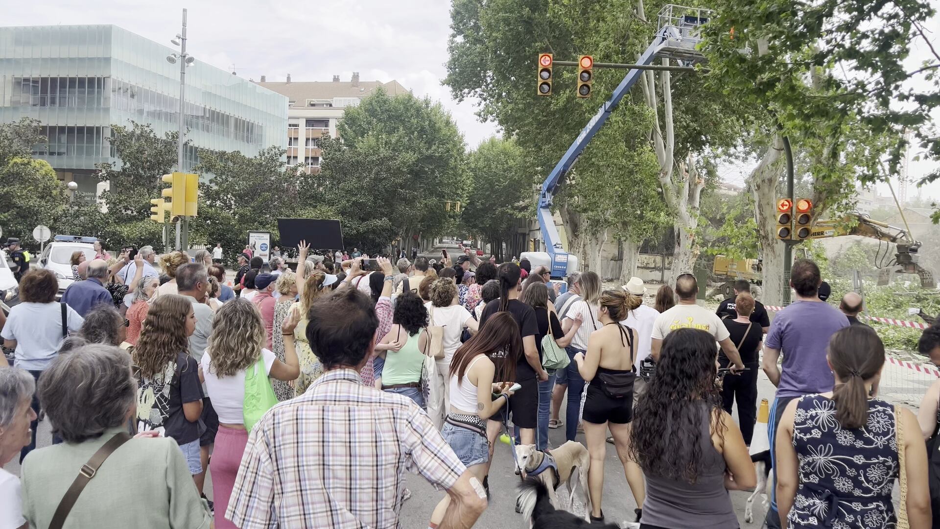 Concentración contra la tala de los plataneros de Martínez de Velasco