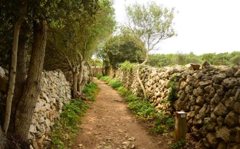 La limpieza del Camí de Cavalls servirá pare la inserción laboral de discapacitados.