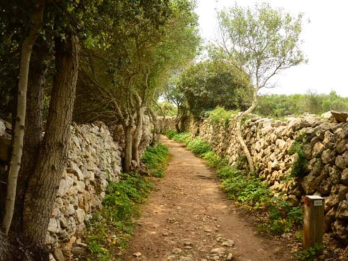 La Fundació de Discapacitats hará el mantenimiento del Camí de Cavalls