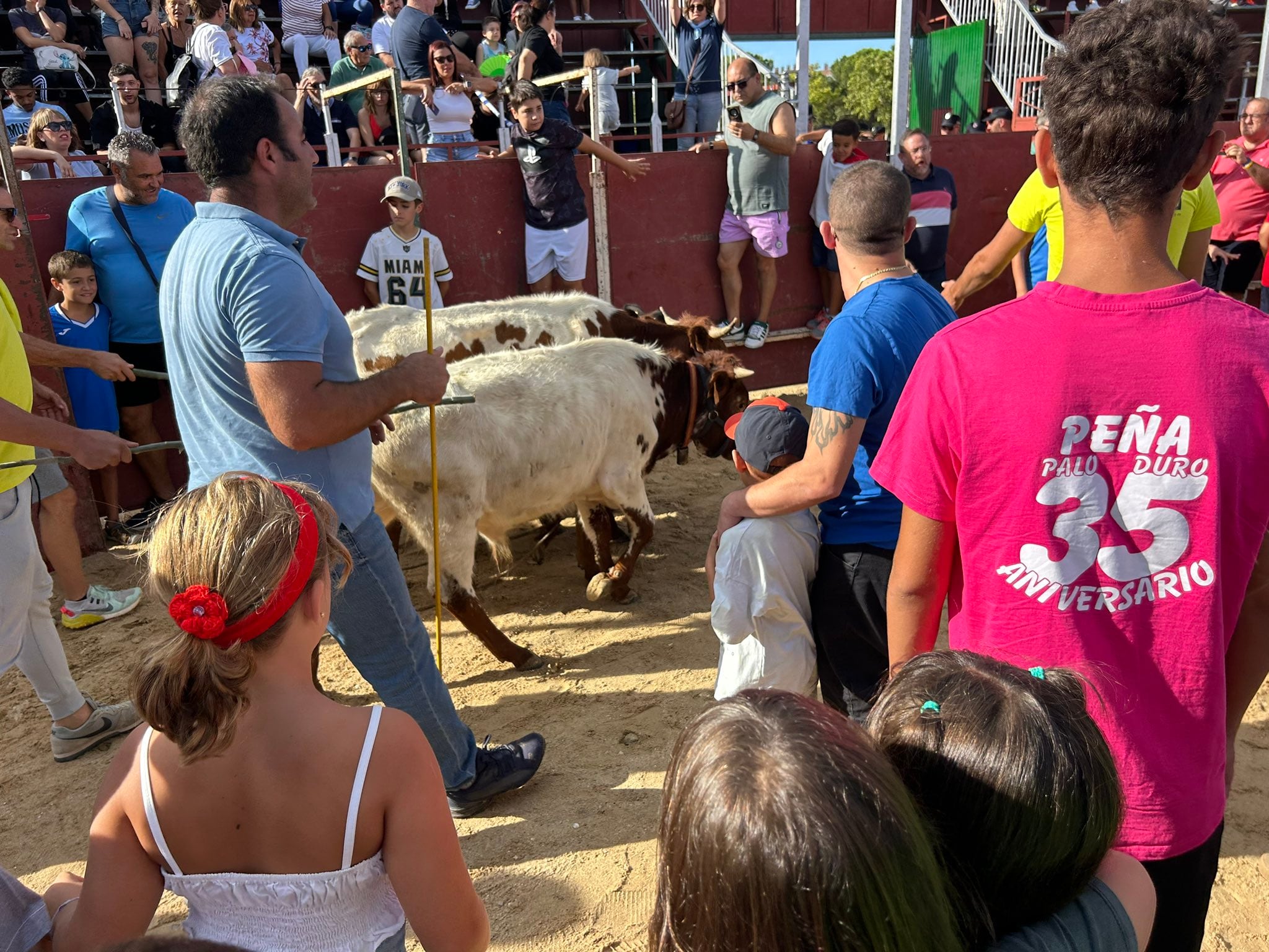 La última bueyada infantil en las fiestas de Leganés