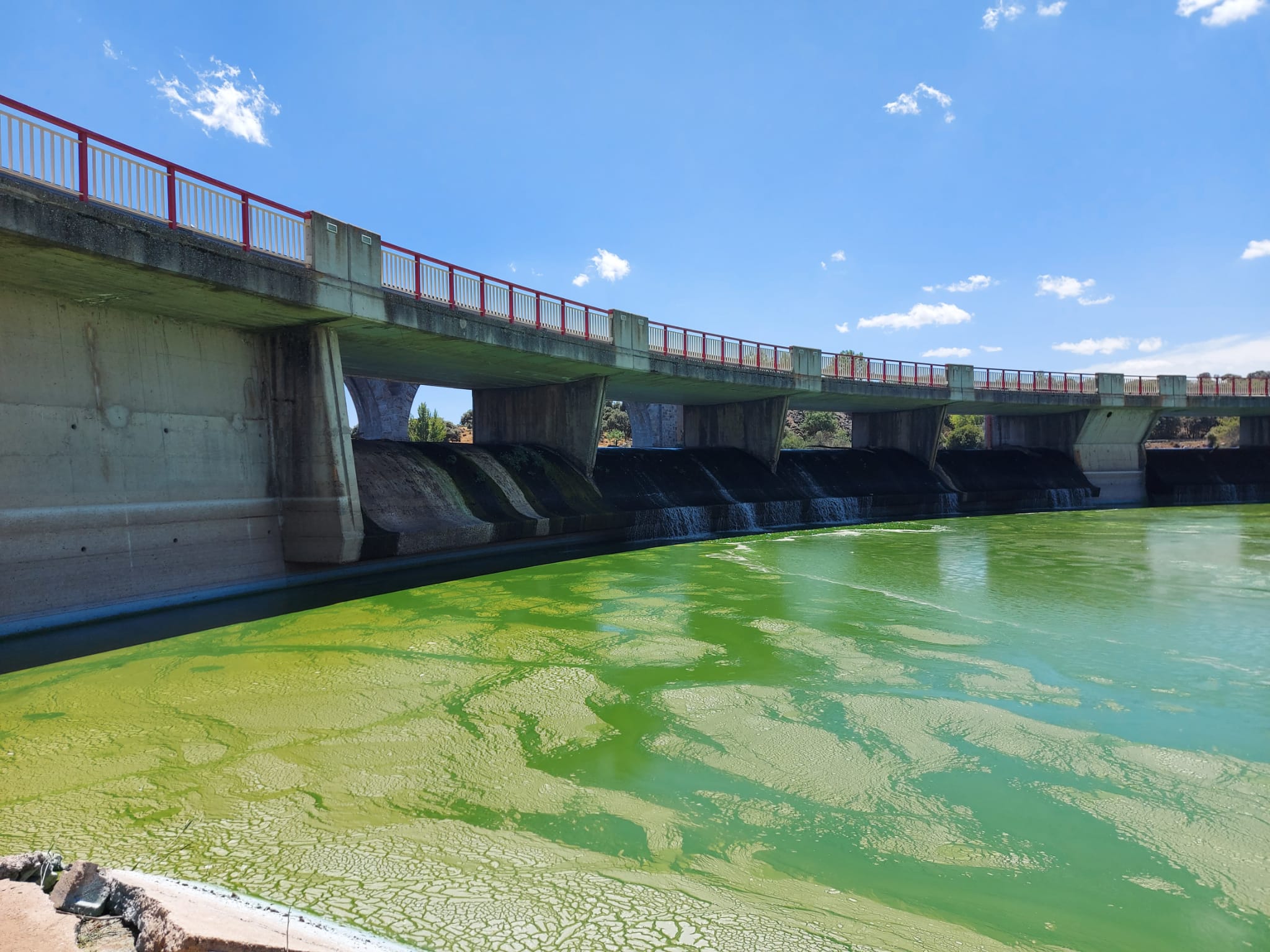 Este es el color que presenta el agua en el lugar en el que se unen Fuentes Claras y Las Cogotas