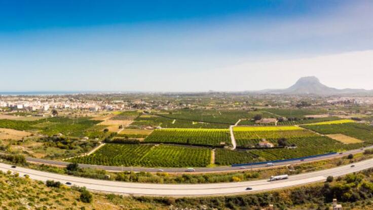 Análisis. Primer año sin peaje en la AP-7. Con Toni Mayor, José Chulvi, Francisco Ortíz y Armando Ortuño