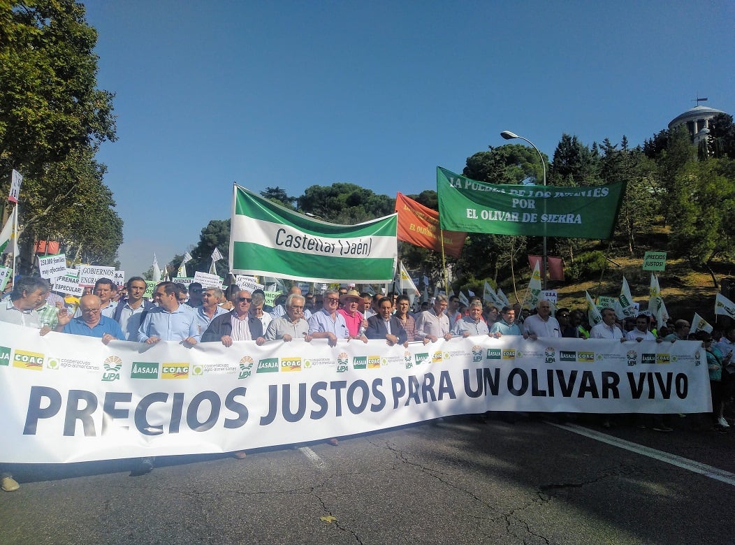 Organizaciones agrarias de Jaén durante una manifestación por una carretera para pedir precios justos para el olivar