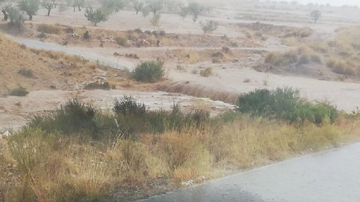 Entrevista a Luis Bañon, AEMET