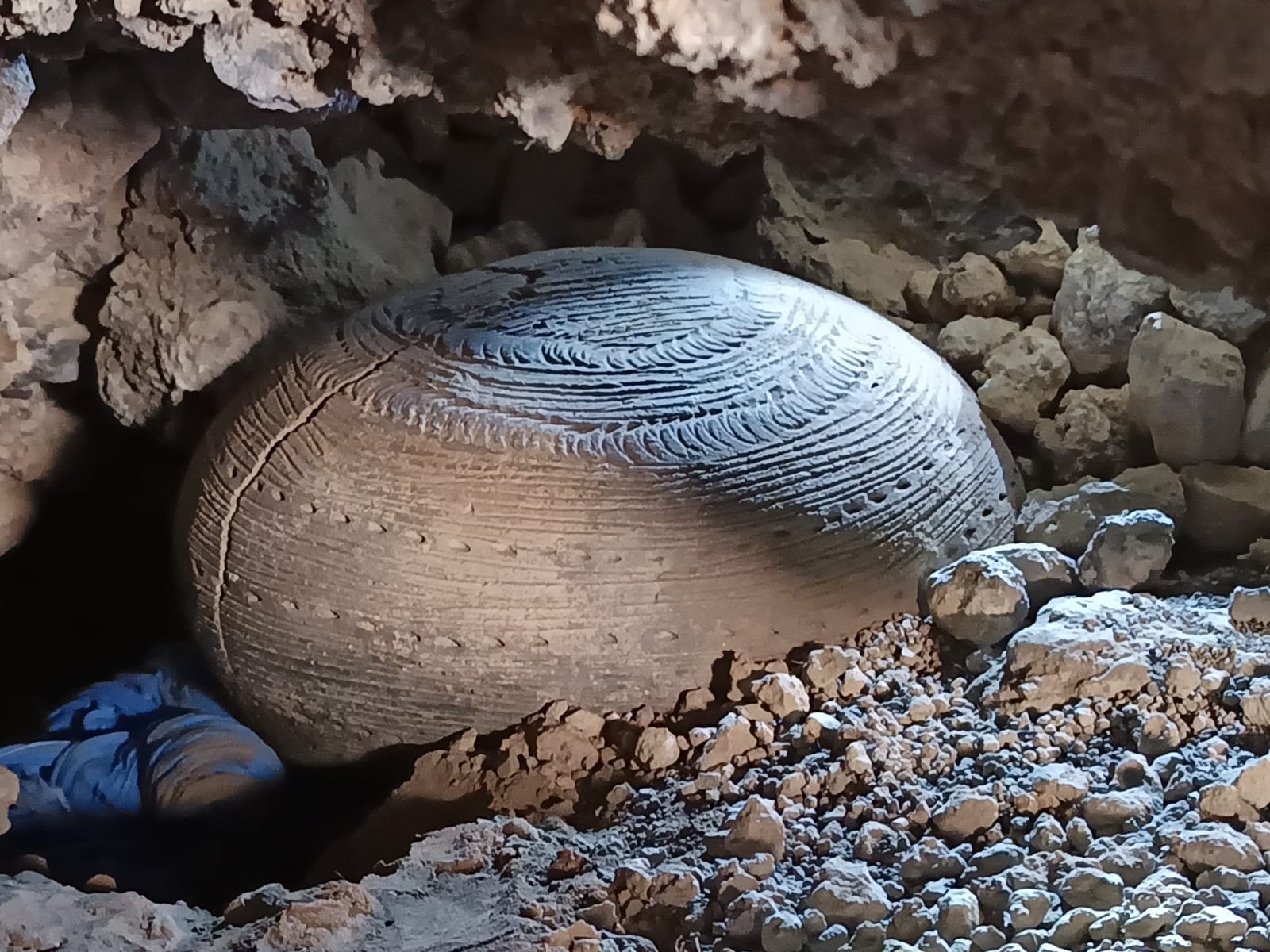 Vasija hallada intactas