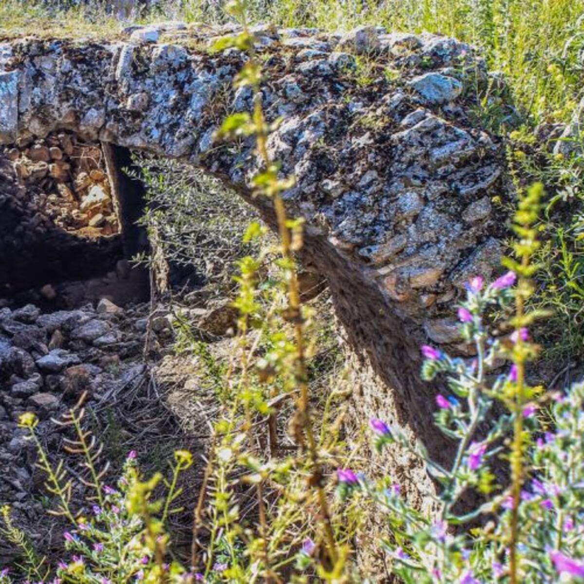 Juzgan a los presuntos responsables de los destrozos del yacimiento de Cerro Maquiz