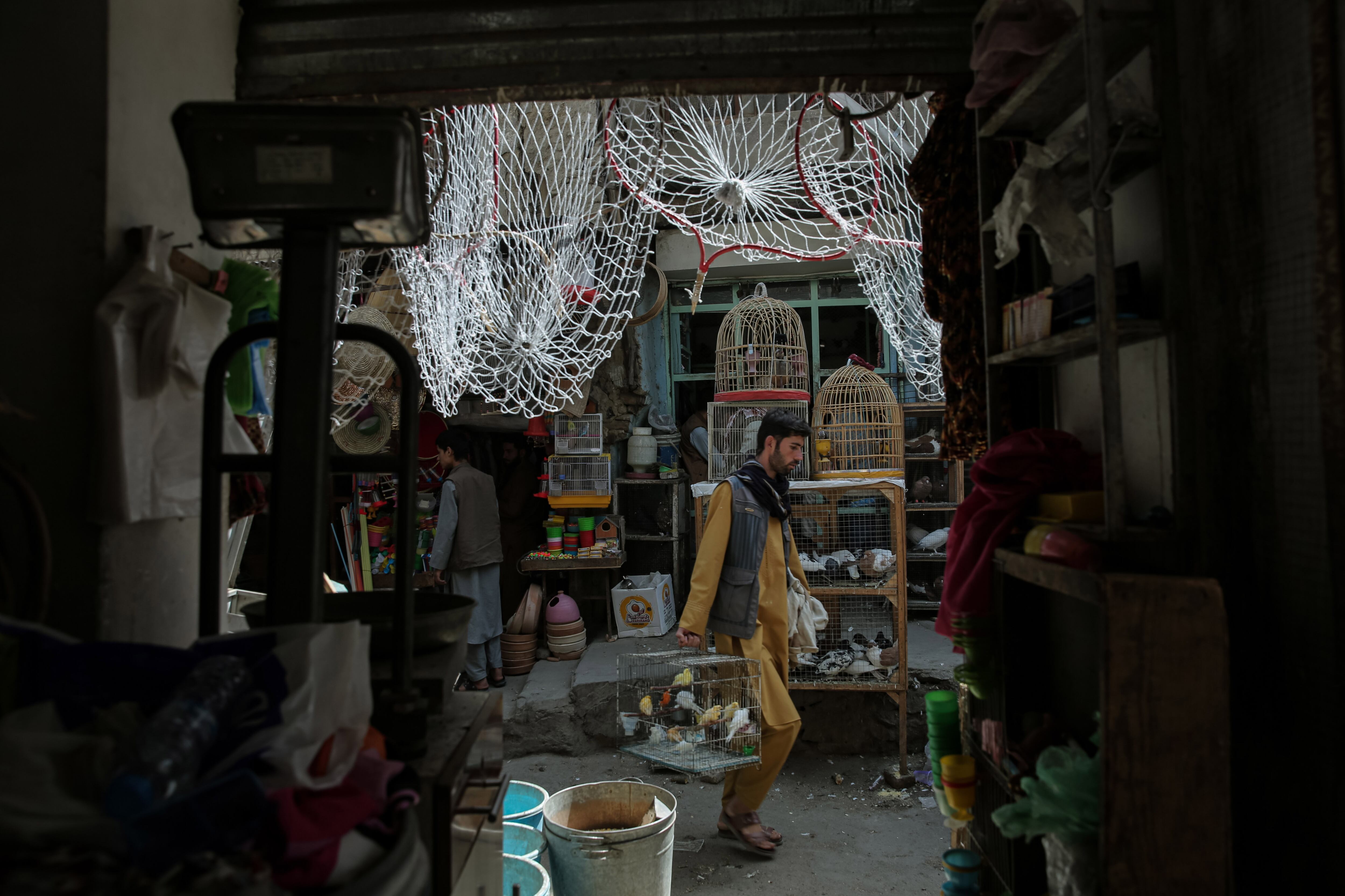 Histórico mercadillo de pájaros de Kucheh Kah Farooshi en Kabul